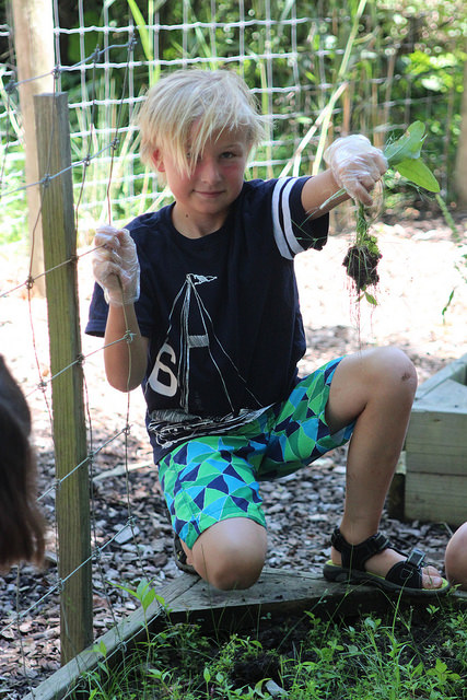 35305408350_b8cee1fed7_z